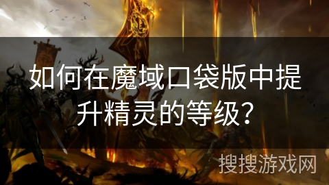 如何在魔域口袋版中提升精灵的等级？