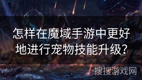 怎样在魔域手游中更好地进行宠物技能升级？