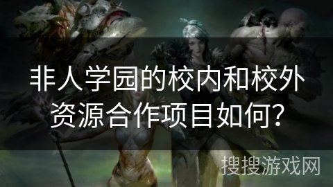 非人学园的校内和校外资源合作项目如何？
