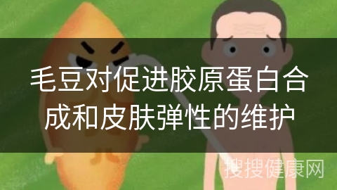 毛豆对促进胶原蛋白合成和皮肤弹性的维护