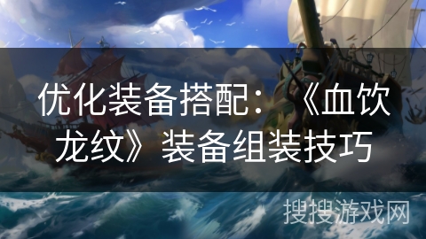 优化装备搭配：《血饮龙纹》装备组装技巧