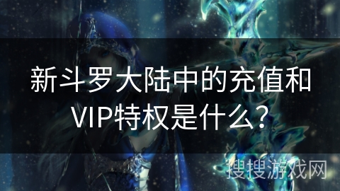 新斗罗大陆中的充值和VIP特权是什么？