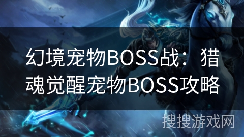 幻境宠物BOSS战：猎魂觉醒宠物BOSS攻略