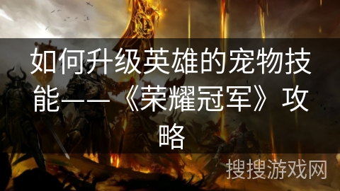 如何升级英雄的宠物技能——《荣耀冠军》攻略
