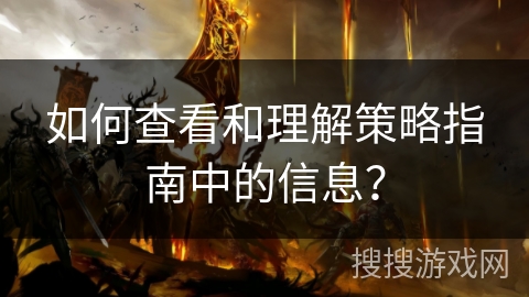 如何查看和理解策略指南中的信息？