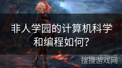非人学园的计算机科学和编程如何？
