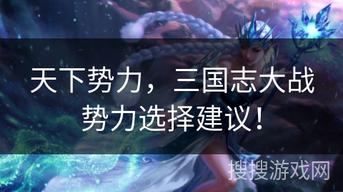 天下势力,三国志大战势力选择建议! 天下势力,三国志大战势力选择建议!