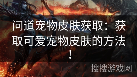 问道宠物皮肤获取：获取可爱宠物皮肤的方法！