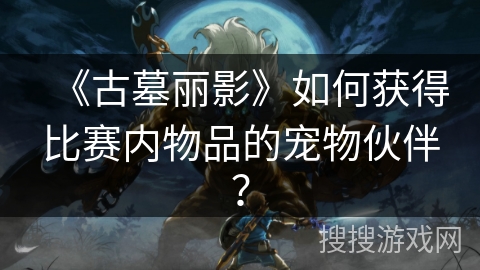 《古墓丽影》如何获得比赛内物品的宠物伙伴？