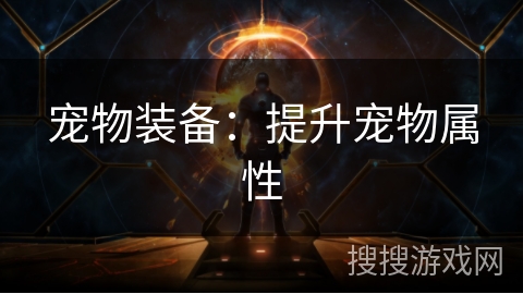 宠物装备：提升宠物属性