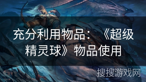 充分利用物品：《超级精灵球》物品使用