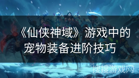 《仙侠神域》游戏中的宠物装备进阶技巧