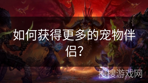 如何获得更多的宠物伴侣？