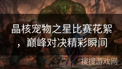 晶核宠物之星比赛花絮，巅峰对决精彩瞬间
