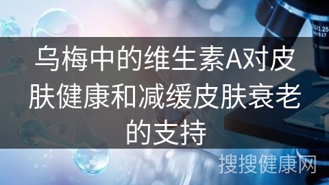 乌梅中的维生素A对皮肤健康和减缓皮肤衰老的支持