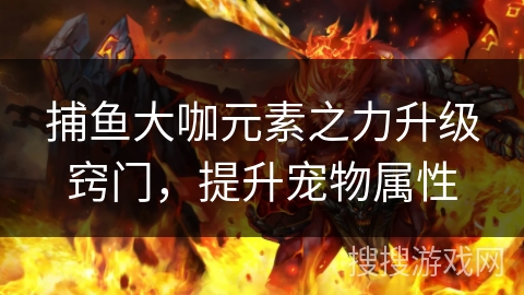 捕鱼大咖元素之力升级窍门，提升宠物属性