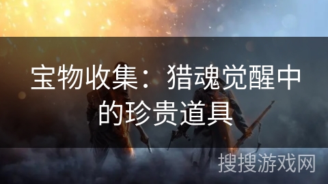 宝物收集：猎魂觉醒中的珍贵道具