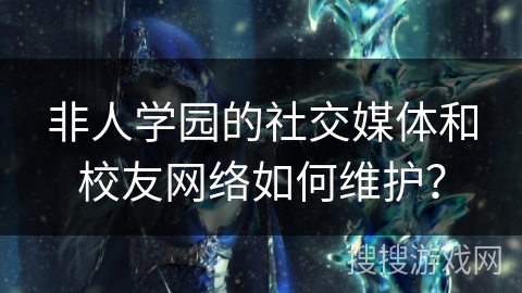 非人学园的社交媒体和校友网络如何维护？