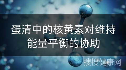 蛋清中的核黄素对维持能量平衡的协助