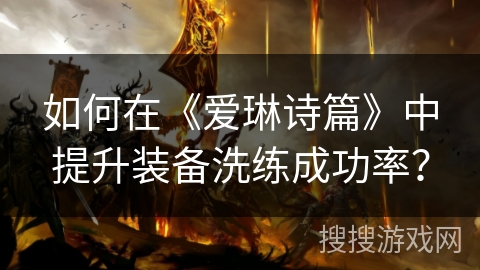 如何在《爱琳诗篇》中提升装备洗练成功率？