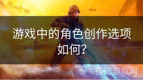 游戏中的角色创作选项如何？