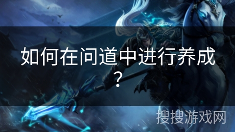 如何在问道中进行养成？