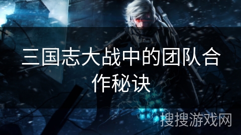 三国志大战中的团队合作秘诀 三国志大战中的团队合作秘诀