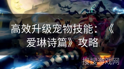 高效升级宠物技能：《爱琳诗篇》攻略