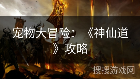 宠物大冒险：《神仙道》攻略