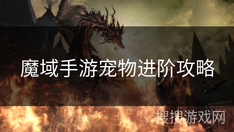 魔域手游宠物进阶攻略