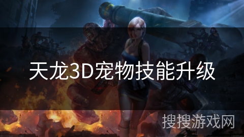天龙3D宠物技能升级