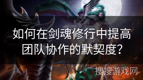 如何在剑魂修行中提高团队协作的默契度？