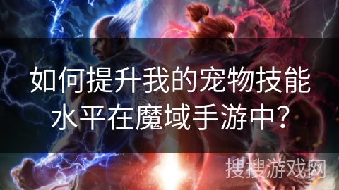 如何提升我的宠物技能水平在魔域手游中？