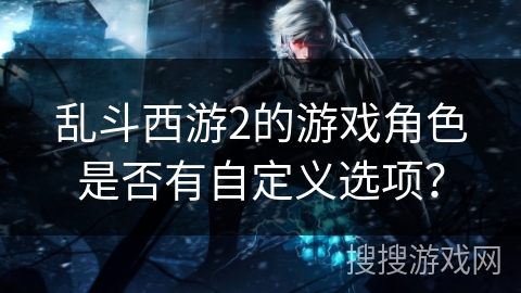 乱斗西游2的游戏角色是否有自定义选项？
