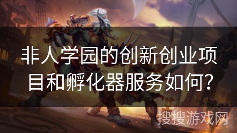 非人学园的创新创业项目和孵化器服务如何？