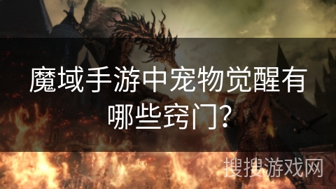 魔域手游中宠物觉醒有哪些窍门？