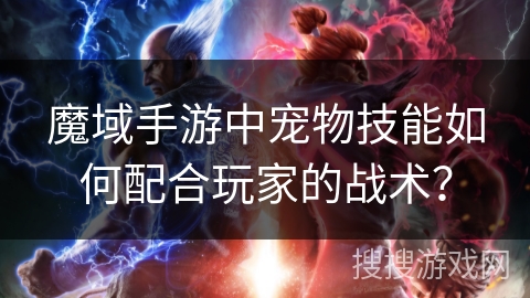 魔域手游中宠物技能如何配合玩家的战术? 魔域手游中宠物技能如何配合玩家的战术?