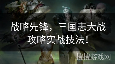 战略先锋，三国志大战攻略实战技法！