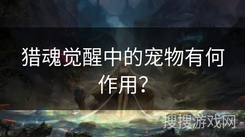 猎魂觉醒中的宠物有何作用？