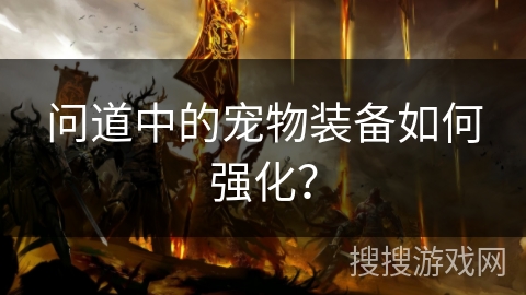 问道中的宠物装备如何强化？