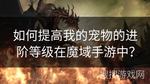 如何提高我的宠物的进阶等级在魔域手游中？