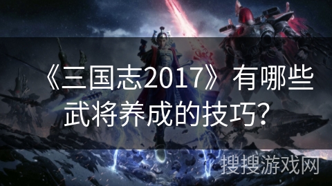 《三国志2017》有哪些武将养成的技巧？