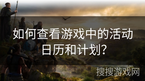如何查看游戏中的活动日历和计划？