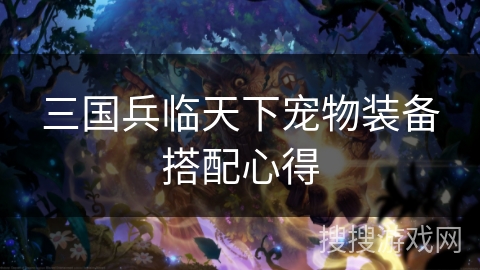 三国兵临天下宠物装备搭配心得