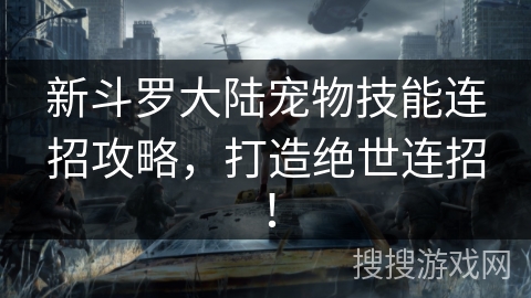 新斗罗大陆宠物技能连招攻略，打造绝世连招！