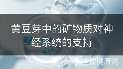 黄豆芽中的矿物质对神经系统的支持