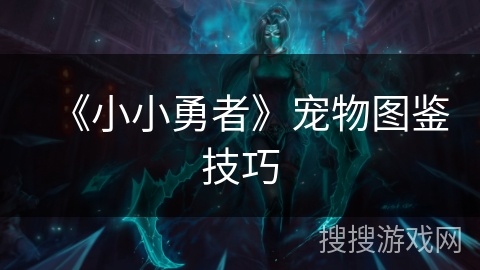 《小小勇者》宠物图鉴技巧