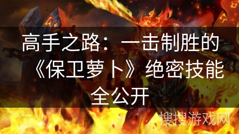 高手之路：一击制胜的《保卫萝卜》绝密技能全公开