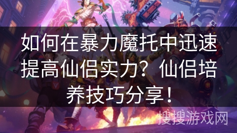 如何在暴力魔托中迅速提高仙侣实力？仙侣培养技巧分享！