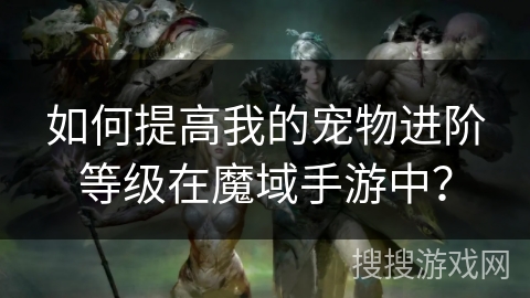 如何提高我的宠物进阶等级在魔域手游中？